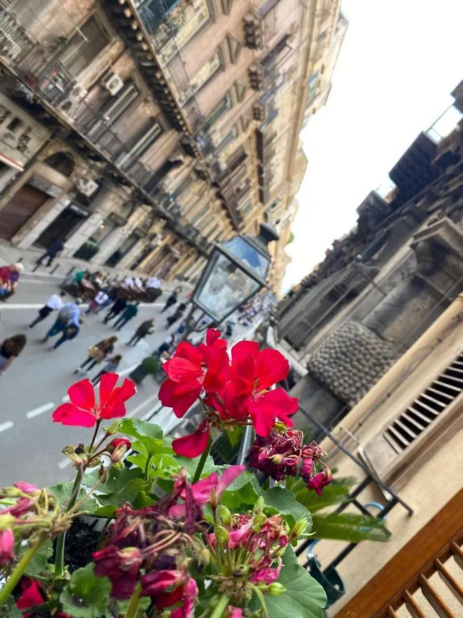 Al Kassaro Vacanze A Palermo